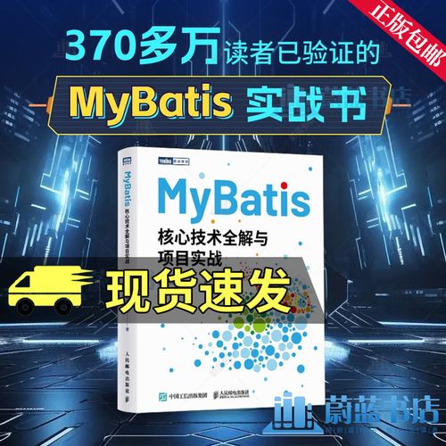 跨越门槛 从MyBatis核心到实战的开发者进阶指南
